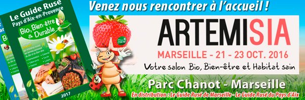 bandeau faceb artemisia2 2016
